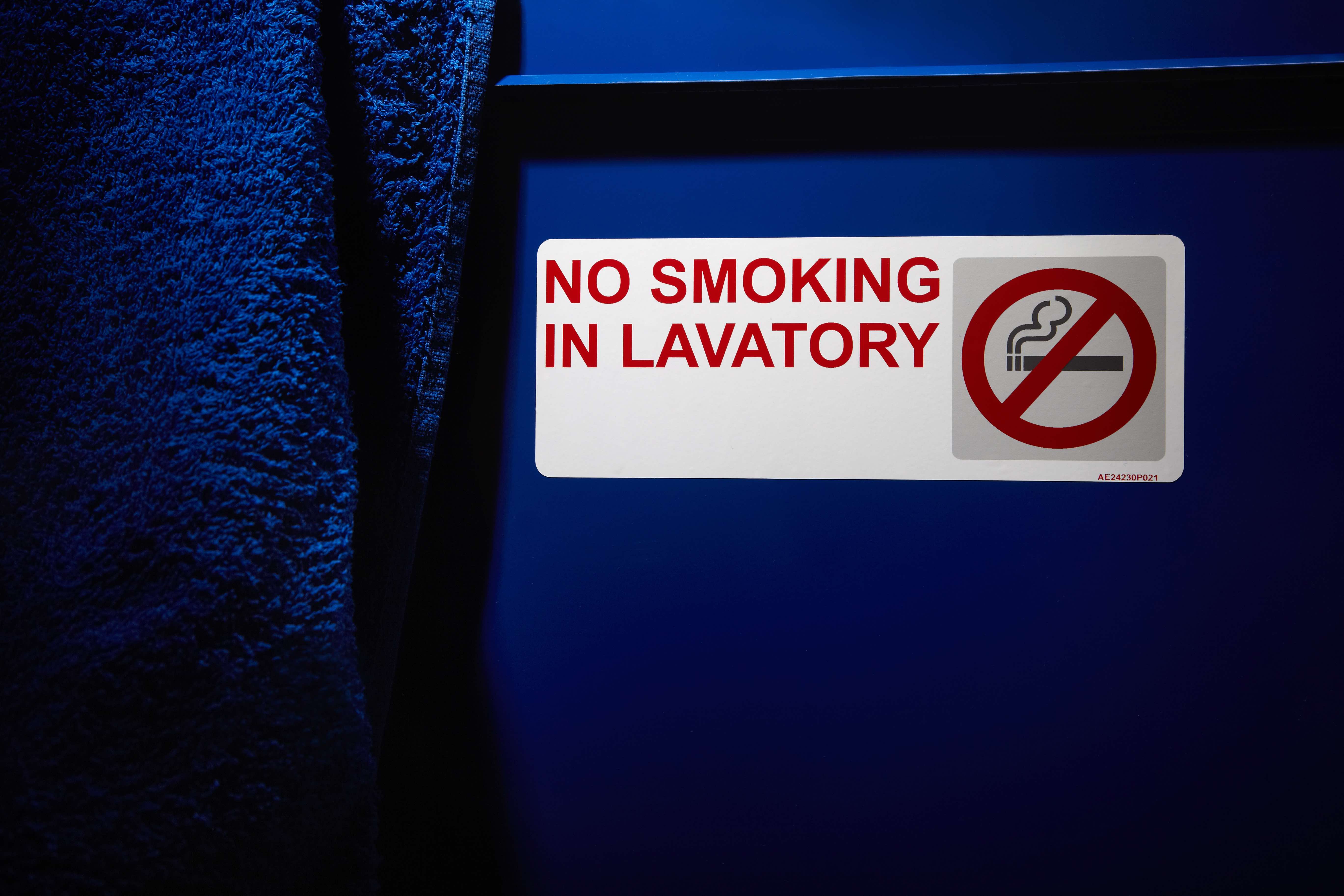 Airline Placard "No Smoking In Lavatory"